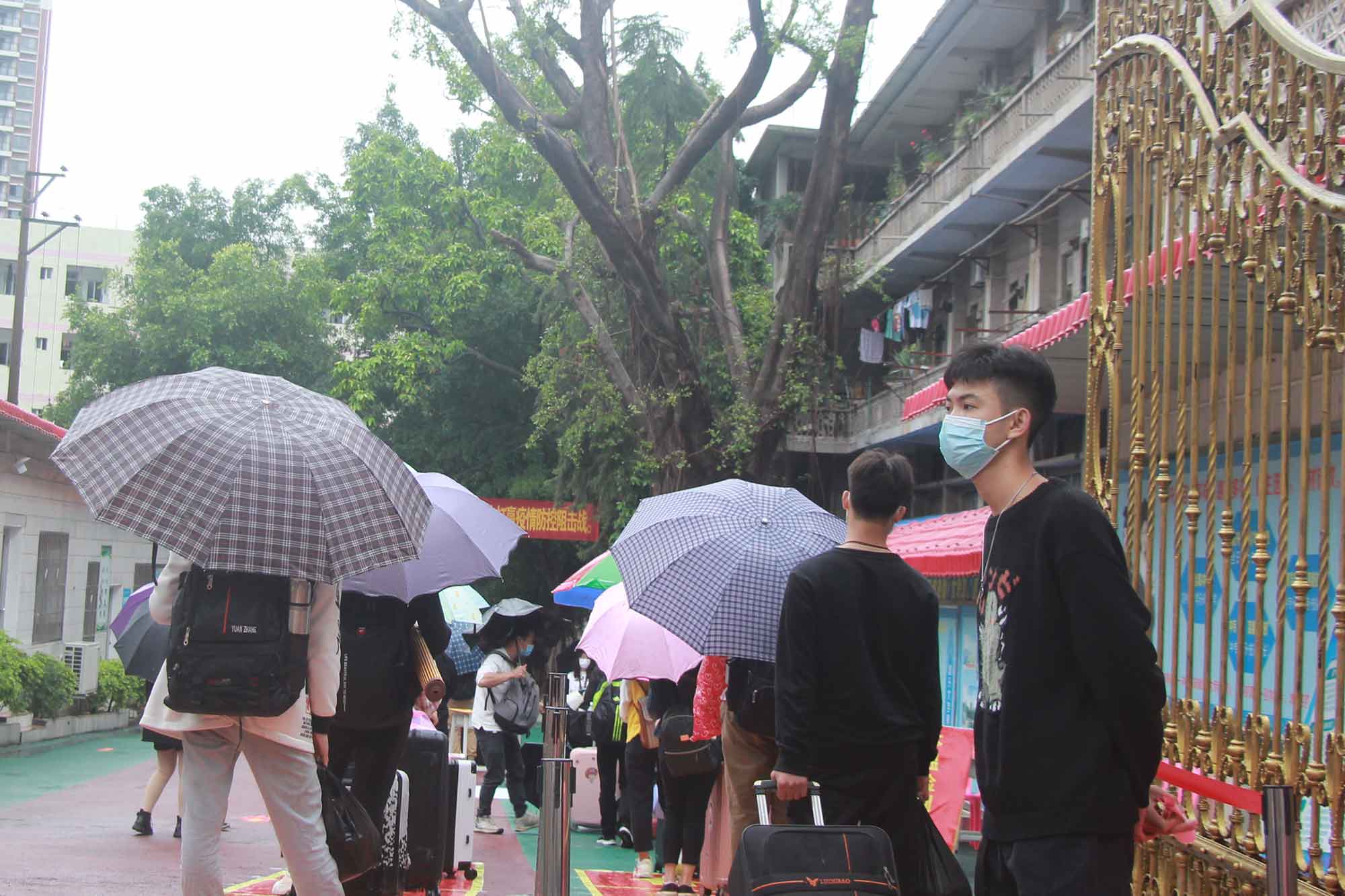 第一批學(xué)生返校記——春風(fēng)十里，不如校園有你！